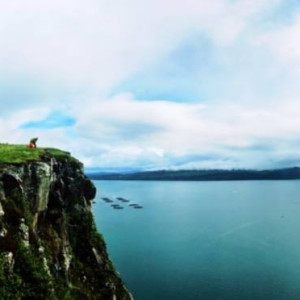 Rock Climbers at Scorrybreac