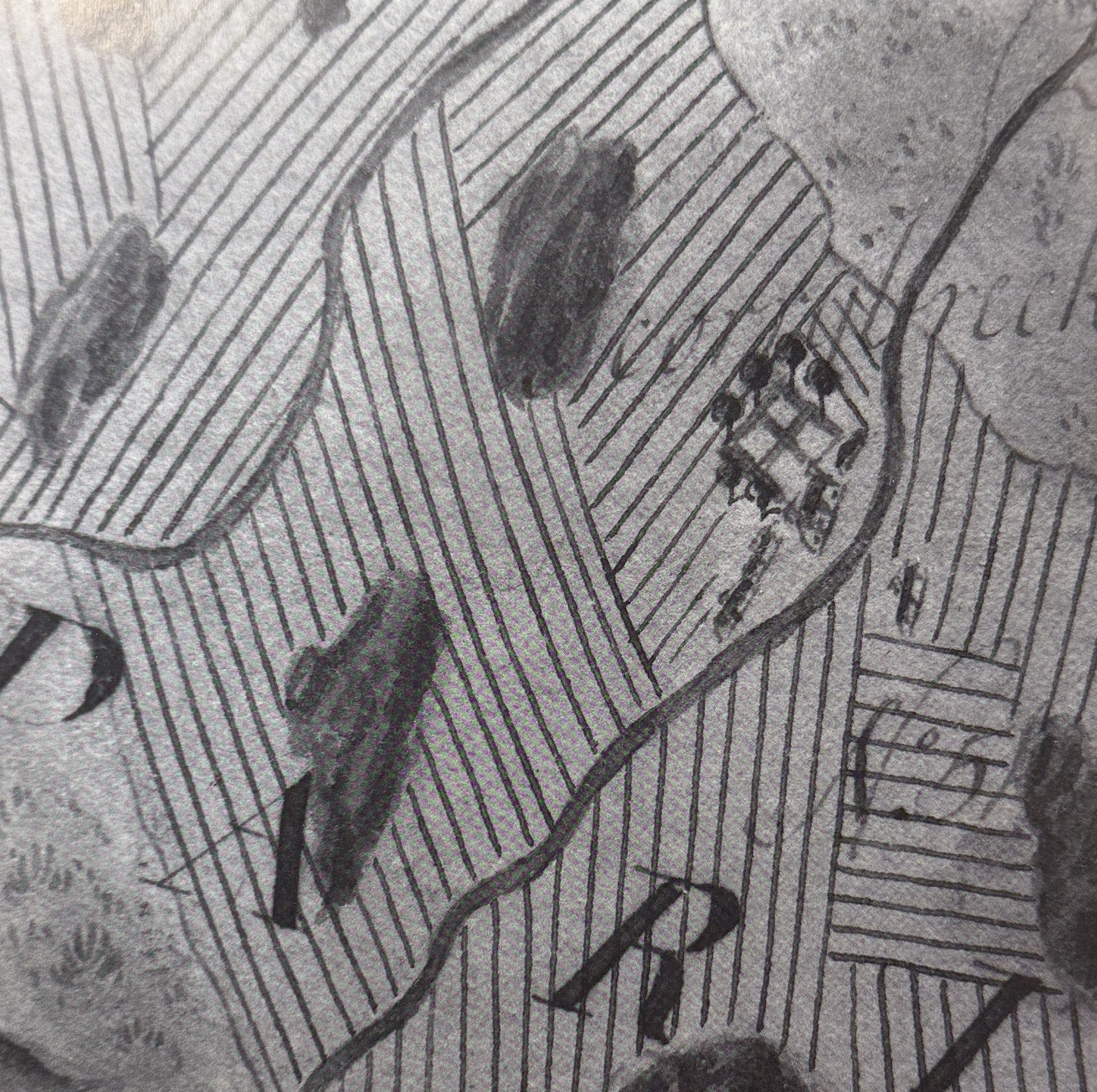 1766 Map