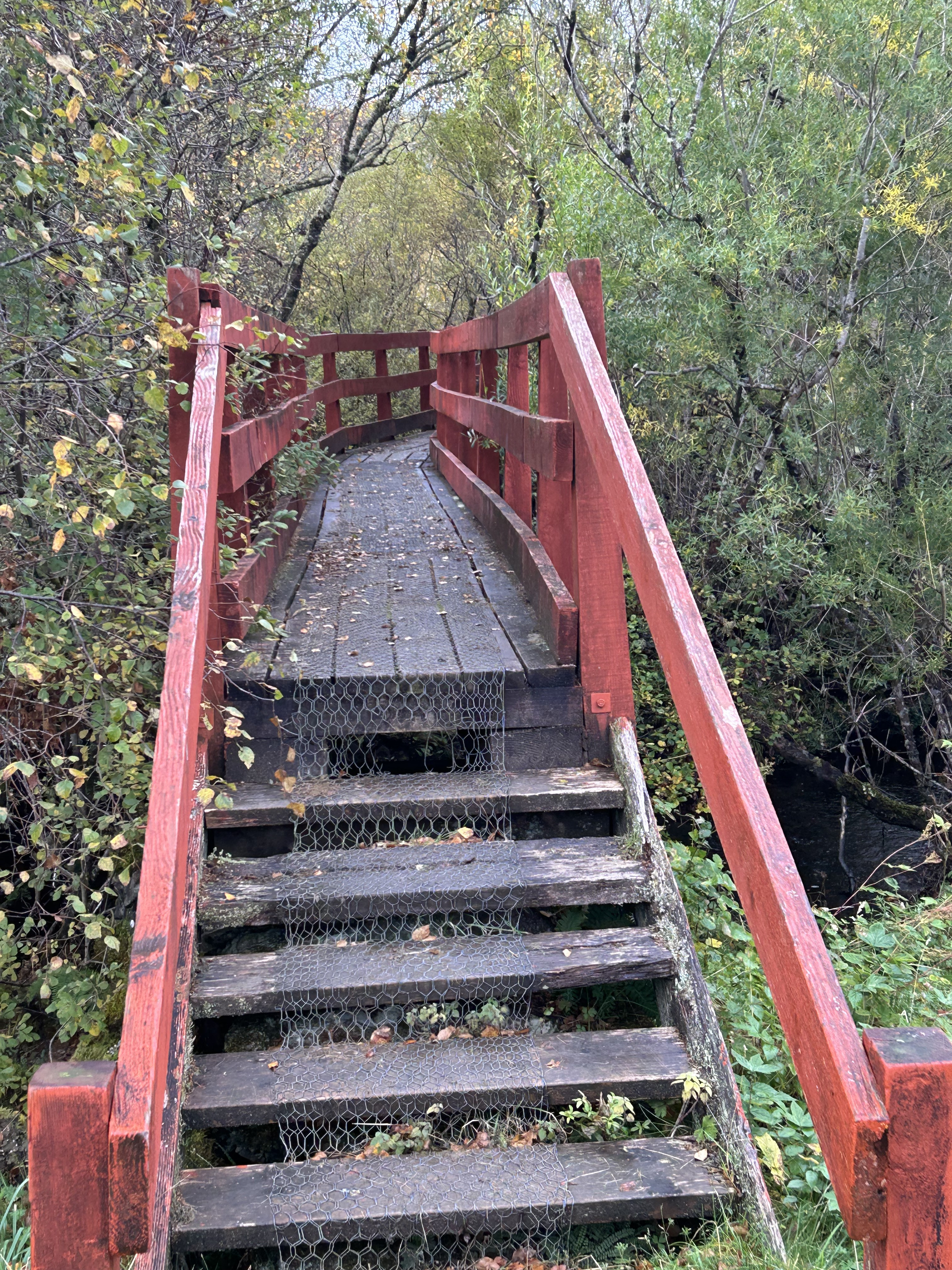 bridge