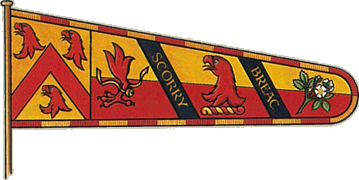 Chiefs standard